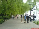 DSC00232
