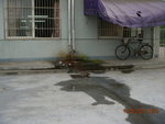 DSCN0788