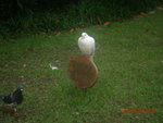 DSCN0963