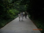 DSCN0966