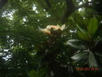 DSCN0967