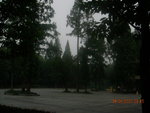 DSCN0969