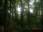 DSCN0974