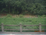 DSCN0983
