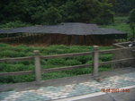 DSCN0984