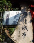 DSC07918a