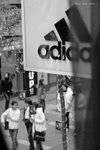 DSC00464b