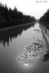 DSC01593b_bw