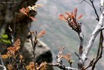 DSC01690b
