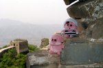 上面有野睇 ? 
(DSC01727b)