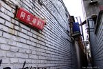 DSC01950b