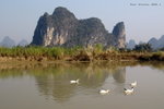 駱駝過江 .... 其實陽朔像這樣的山有九佰幾個
DSC02585b