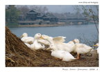 DSC02794b