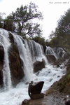 DSC09233b