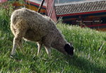 DSC09341b