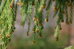 DSC00740b