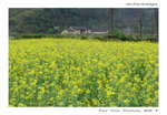 DSC04197b