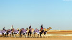 見到駱駝隊伍，大家都非常興奮，連忙停車拍攝﹗駱駝主人都非常友善，跟我們揮手示意﹗很想告訴大家，今次阿布扎比之行，遇到的人絕大部分都非常親切有禮，給我留下極佳印象。