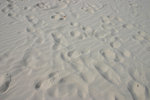沙上的足印