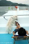 甚麼比跟自己的愛犬一起在美麗的遊艇上吹吹海風見見周公更寫意？