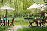 酒店附近的靜安寺公園，感覺悠閒。