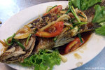 Fried Fish with Sweet and Sour Sauce