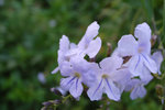 R0025014