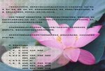 2008 4 12  廣西 武鳴 越南華僑校友會第五&#23626;理事會.