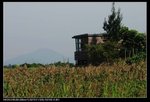DSC_4302