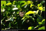 DSC_4402