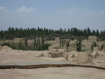 IMG_1098