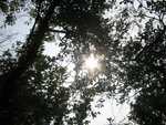 School Picnic07 029