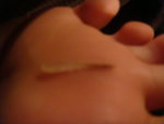 DSC00472