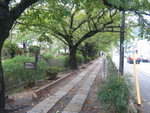 Japan 223