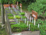 Japan 253