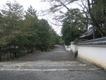 Japan 316