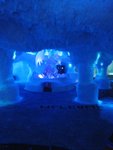 IMG_4662