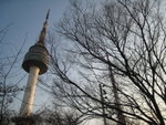 IMG_8334