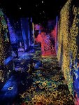 IMG_4170