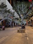 IMG_6740