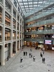 IMG_5624