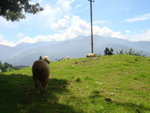 DSC05436