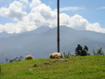 DSC05438