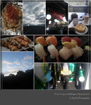 breakfast/lunch at waiotapu, tea at the McDonald's in Buss, Japanese dinner in Wellington
