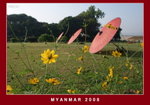 緬甸式太陽傘parasol