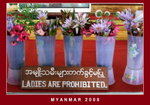 Phaung Saw Oo Phaya