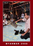 Nga Phe Chaung (cat jumping monastery)