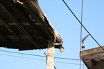IMG_4454