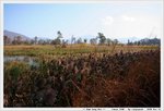 IMG_7527