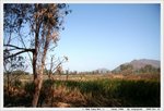 IMG_7789